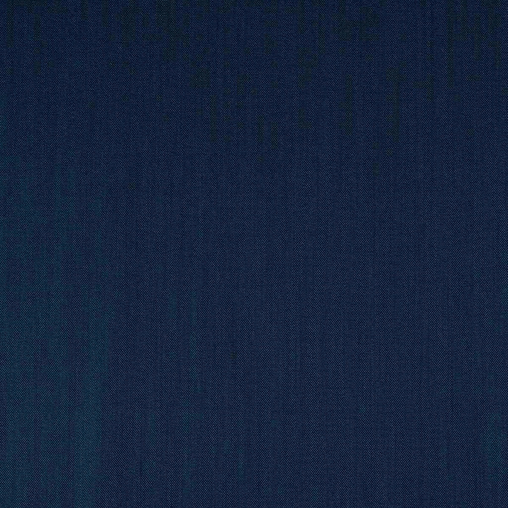 [354267] BLUE, BIRDEYE (ST# 24089)