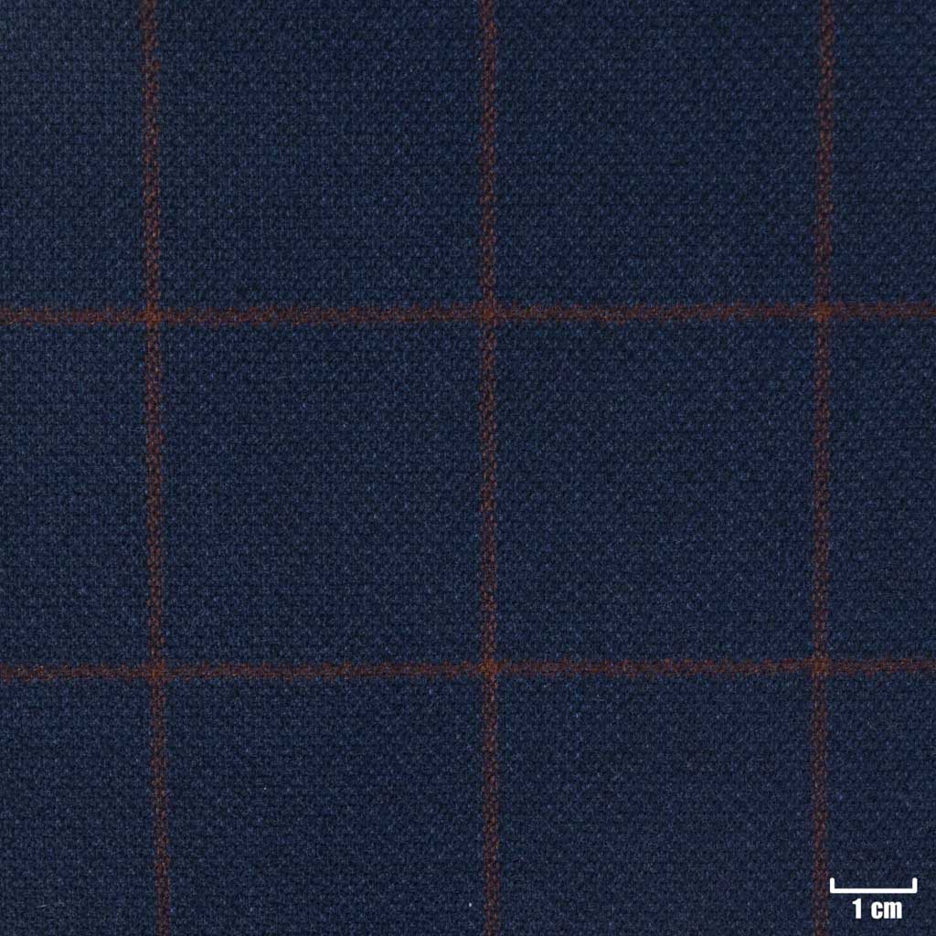 [401337] DARK BLUE, RED CHECKS