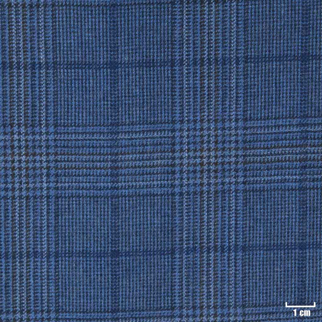 [401342] BLUE, CHECKS