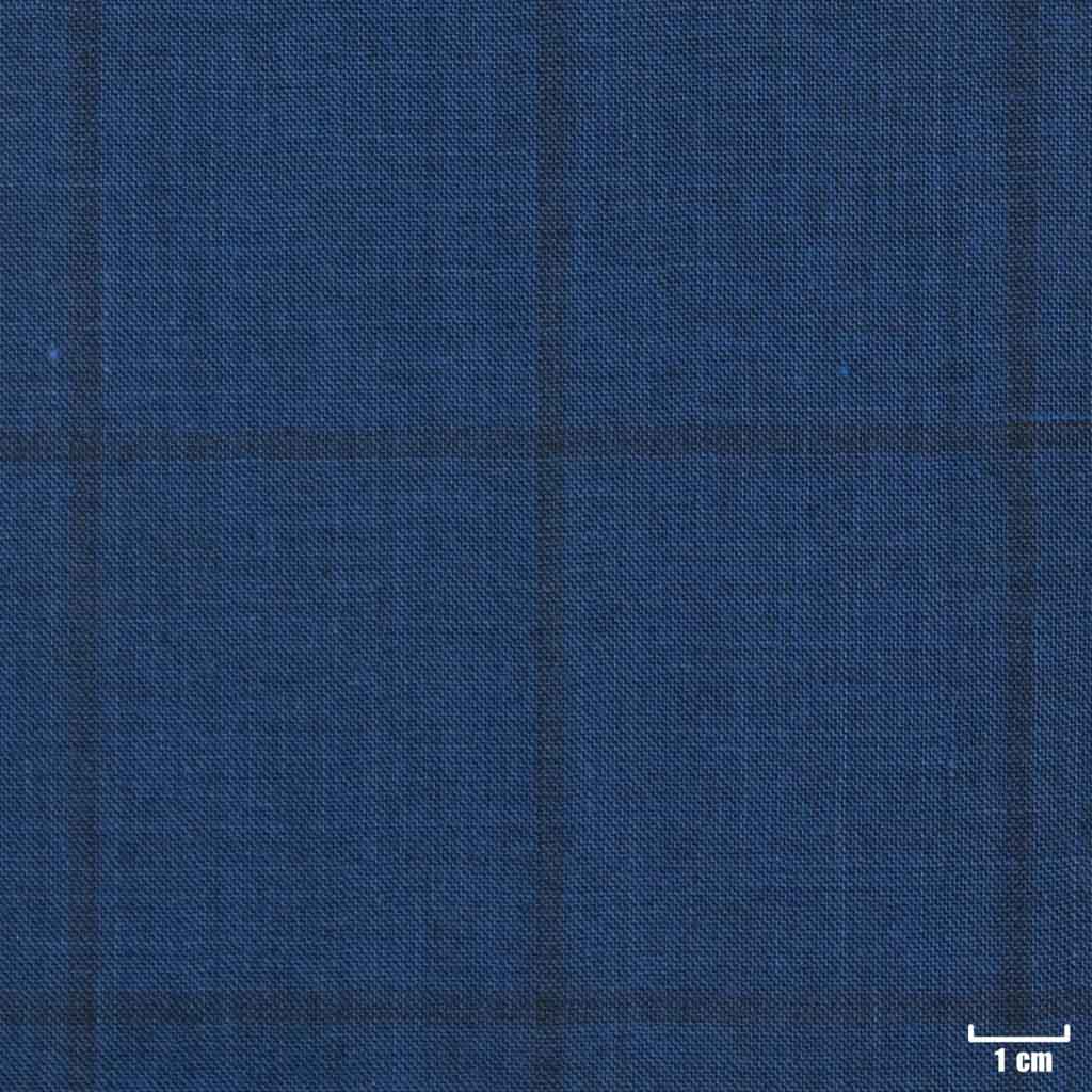 [401806] BLUE, CHECKS