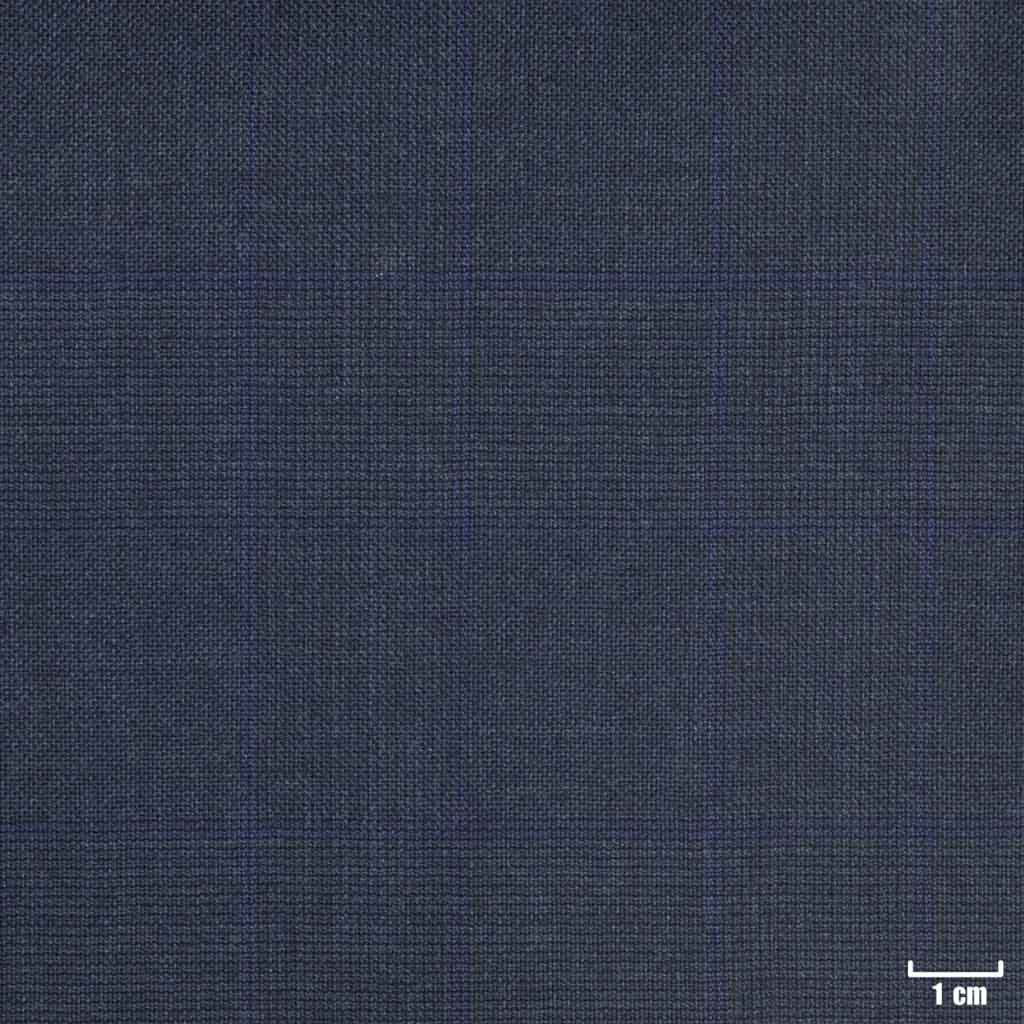 [401941] BLUE, CHECKS