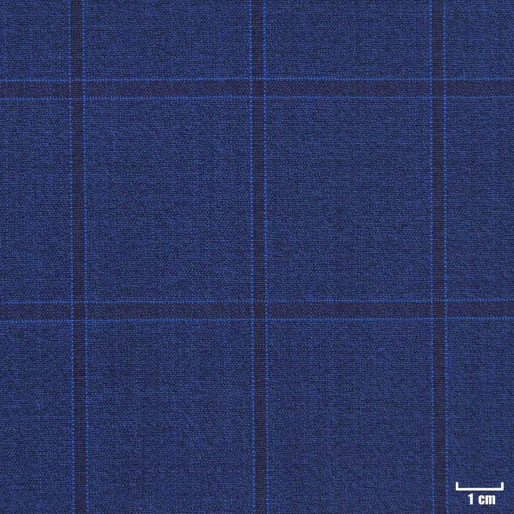 [402001] BLUE, CHECKS