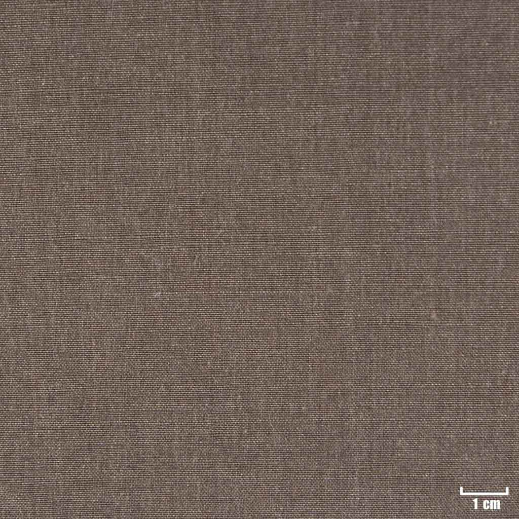 [402140] BROWN, PLAIN