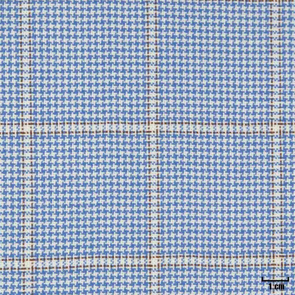 [403216] BLUE, CHECKS