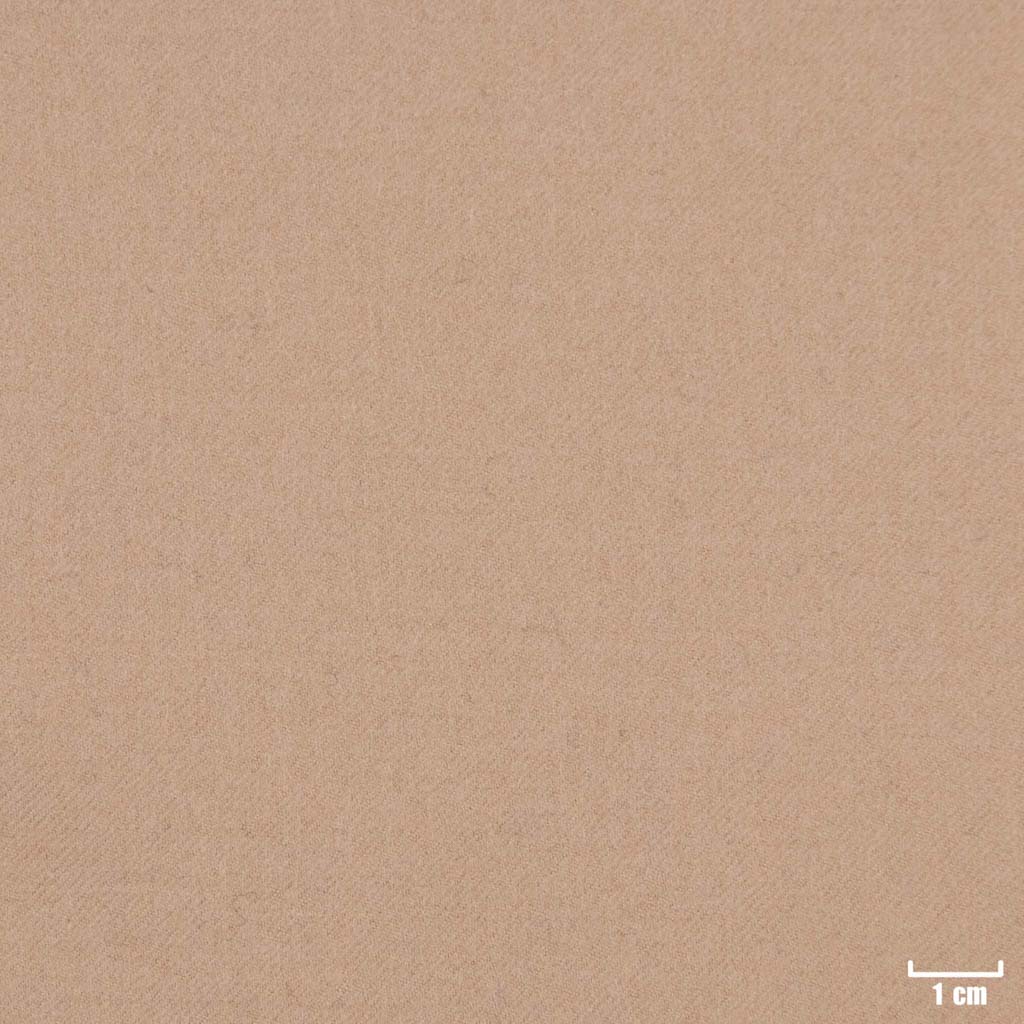 [403431] CAMEL, PLAIN