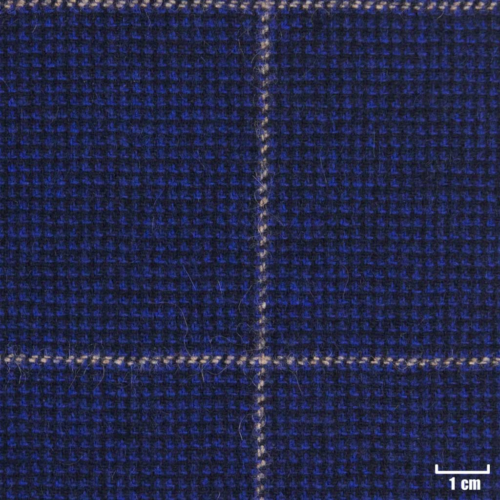 [403514] BLUE, CHECKS