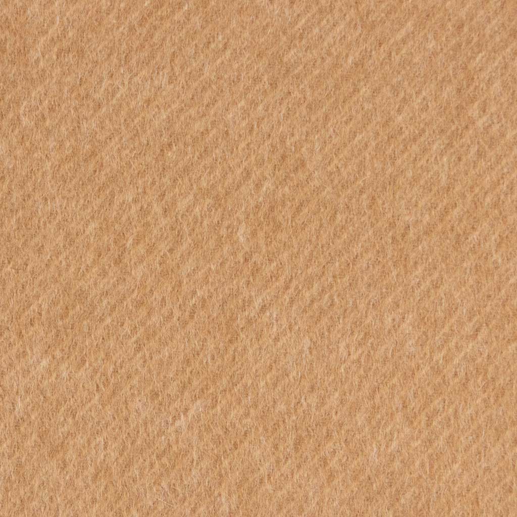 [403516] CAMEL, PLAIN