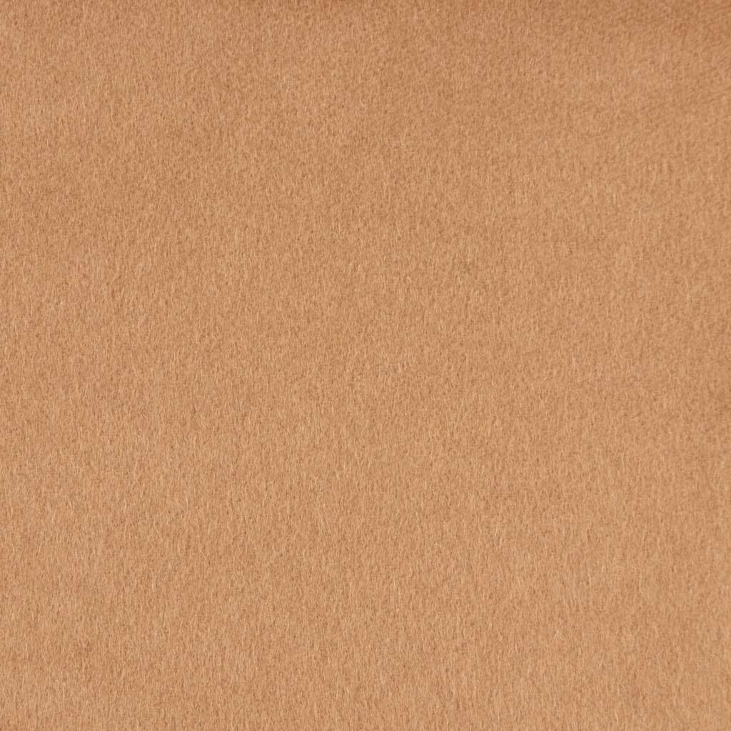 [403612] CAMEL, PLAIN