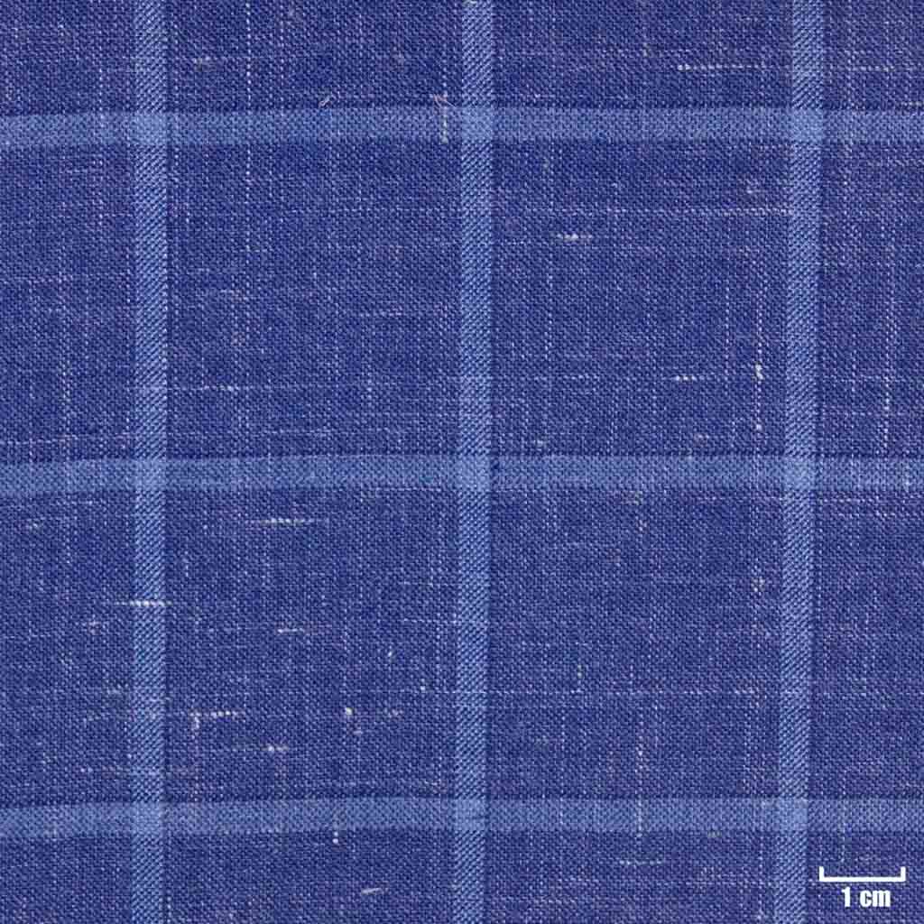 [403801] BLUE, BIG CHECKS