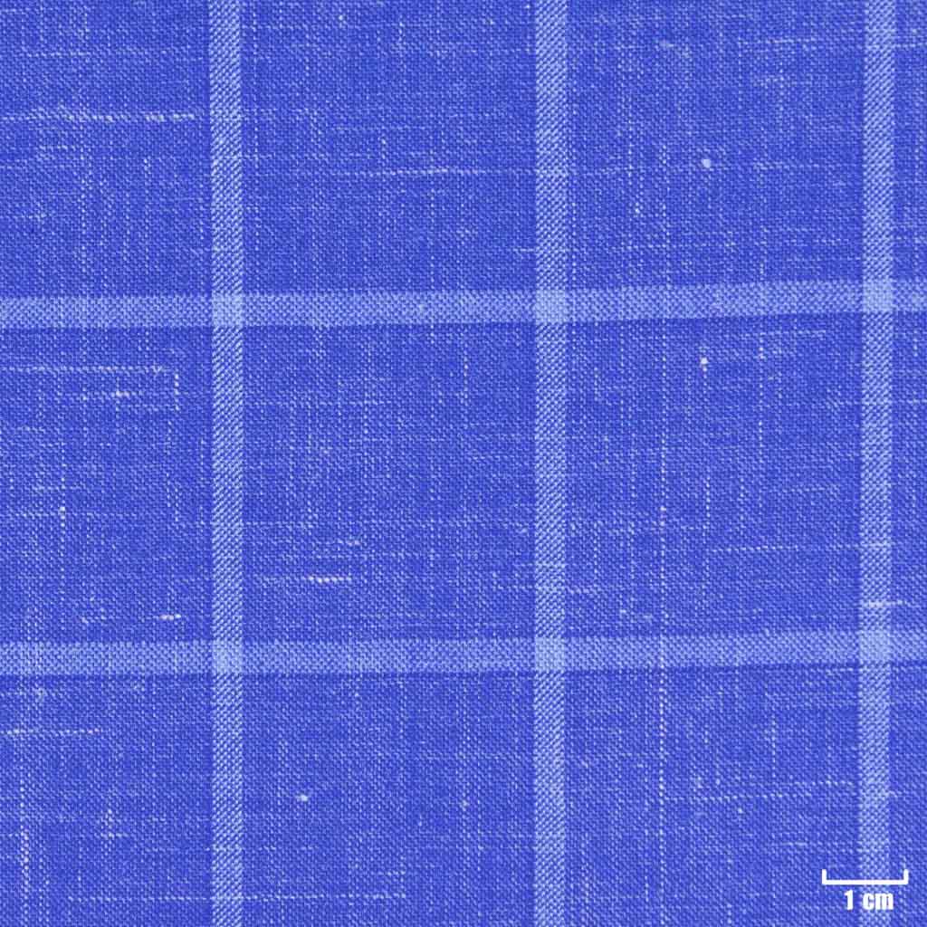 [403805] BLUE, BIG CHECKS