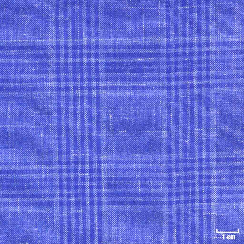 [403818] BLUE, CHECKS