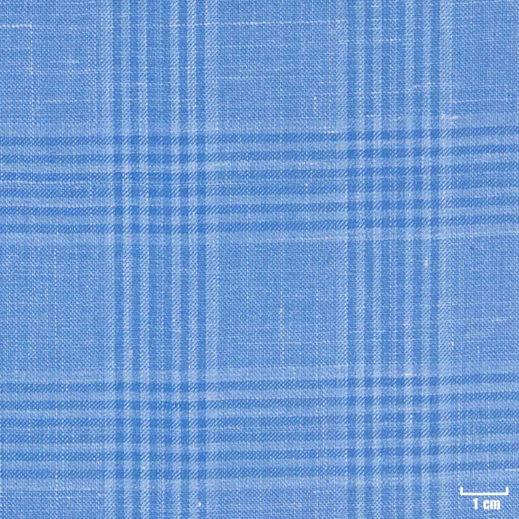 [403819] BLUE, CHECKS