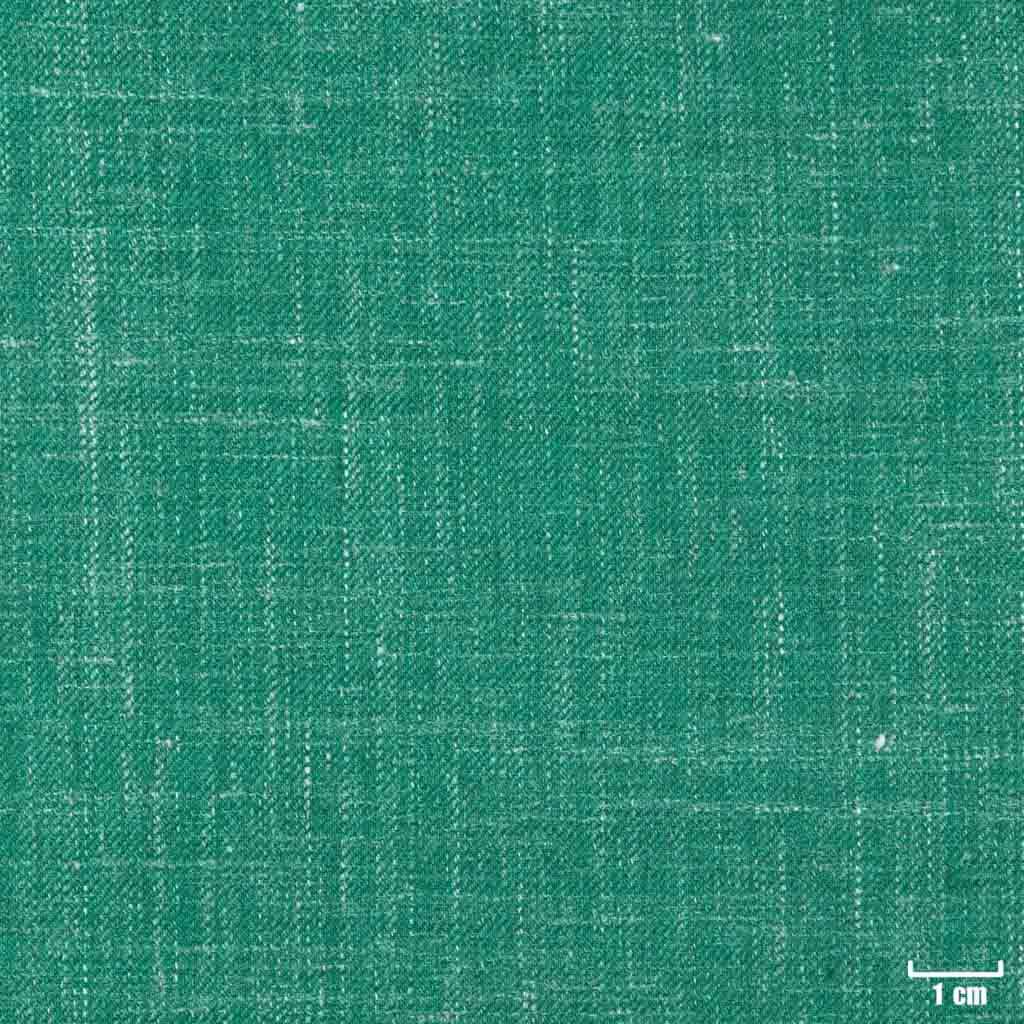 [403834] GREEN, PLAIN