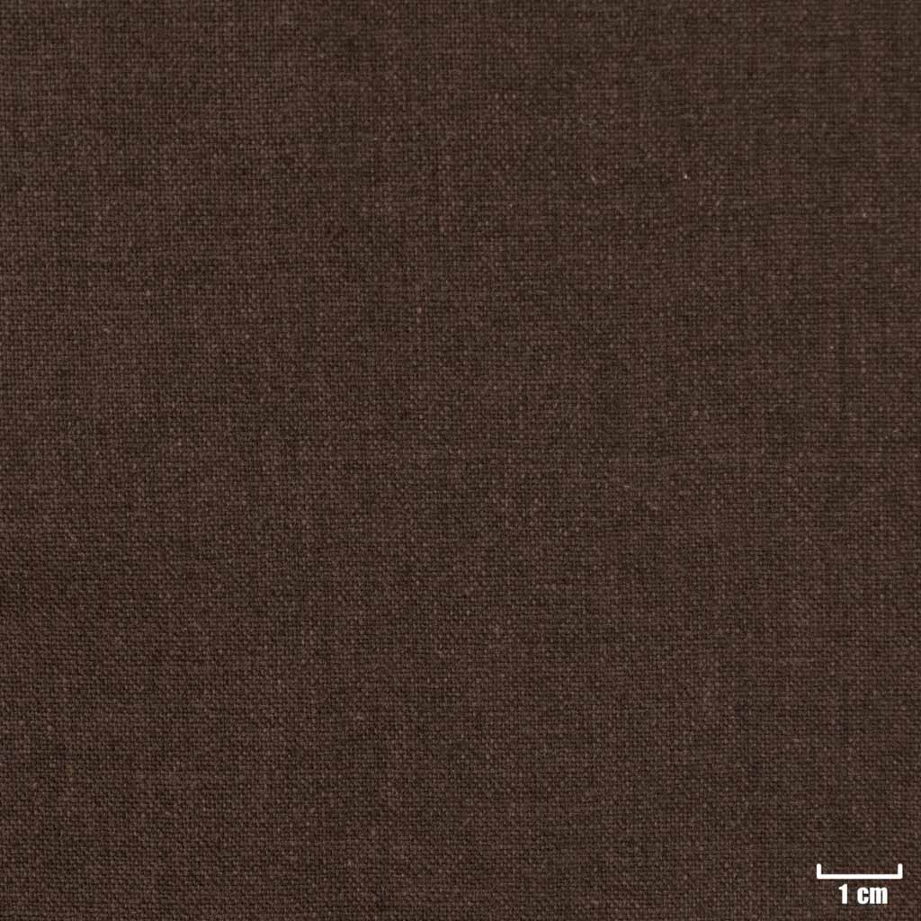 [403917] BROWN, PLAIN