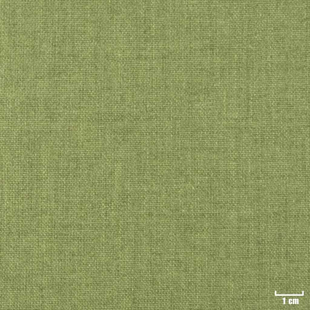 [403920] GREEN, PLAIN