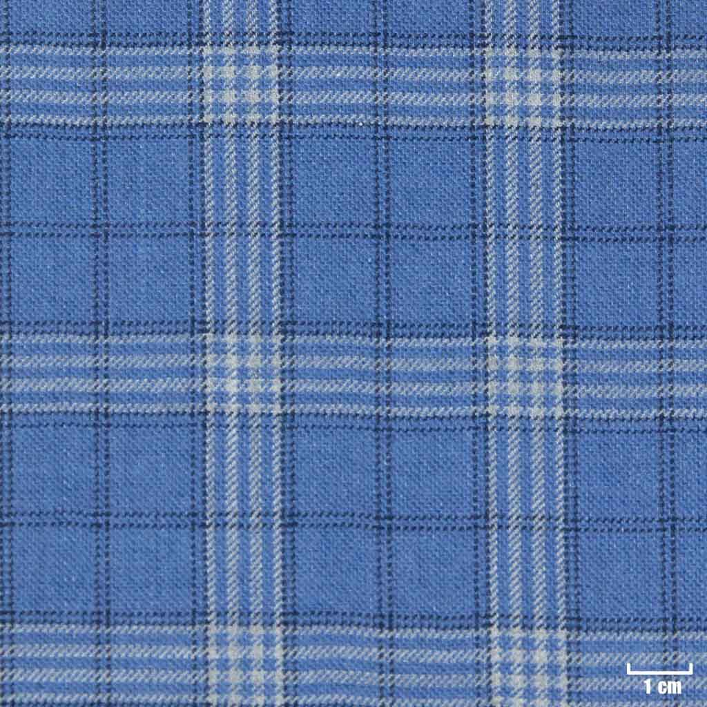 [403941] BLUE, CHECKS