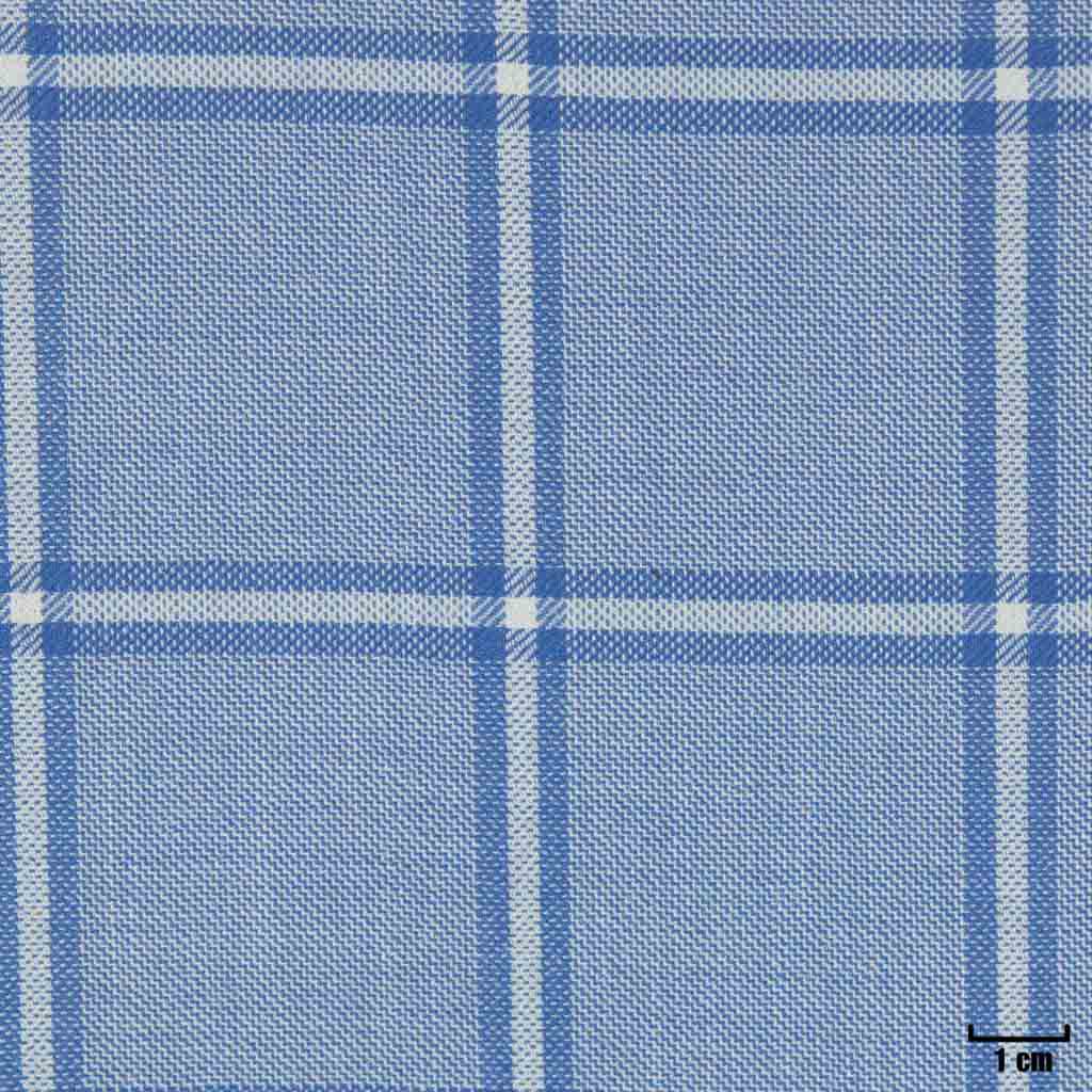 [403945] LIGHT BLUE, CHECKS