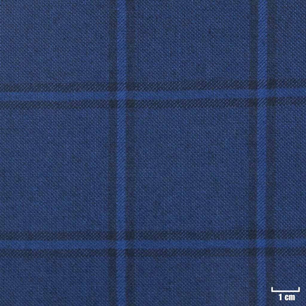 [403946] BLUE, CHECKS