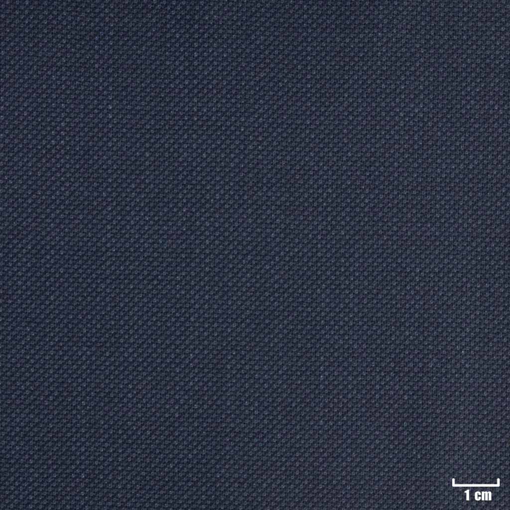 [404132] DARK BLUE, BIRDEYE