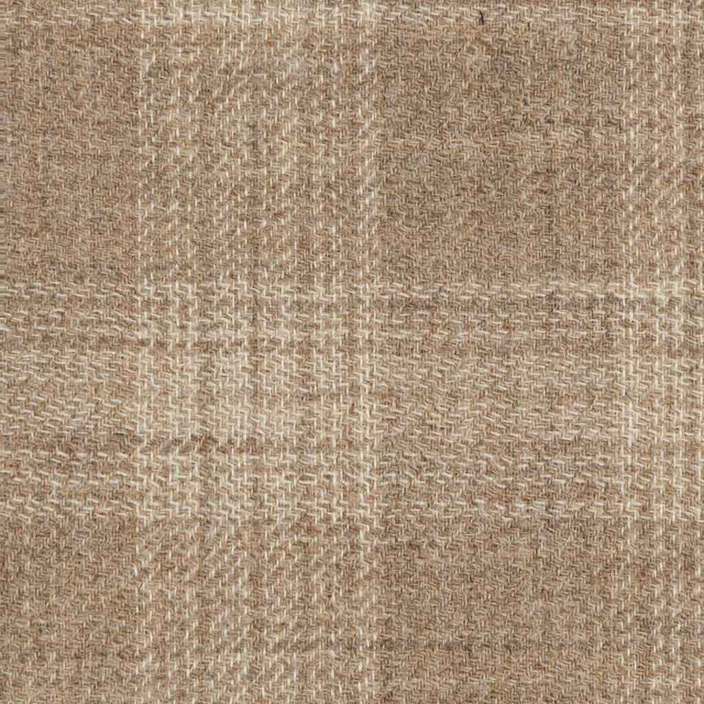 [404203] BROWN, CHECKS
