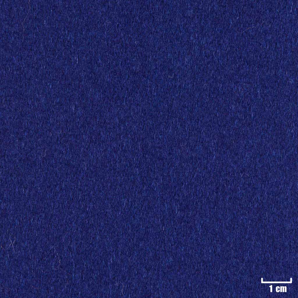 [404407] BLUE, PLAIN