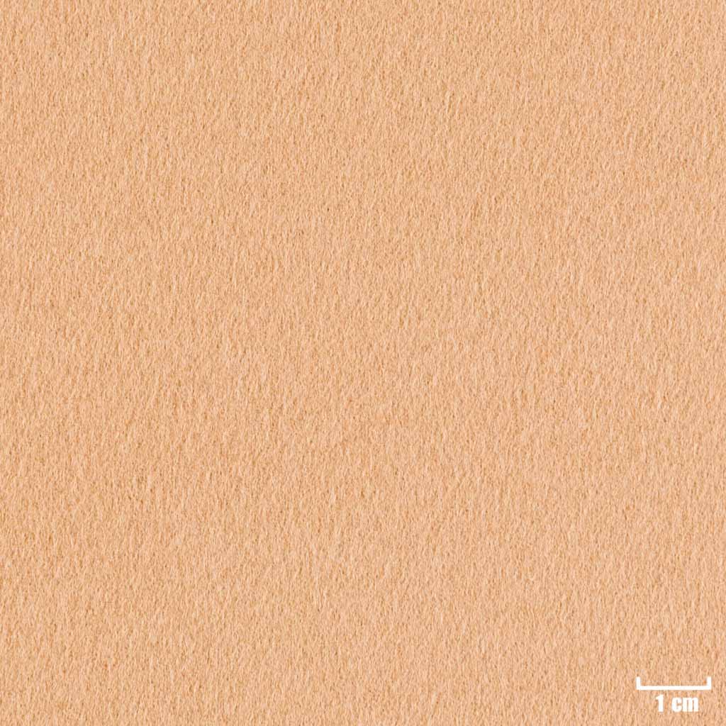 [404412] KHAKI, PLAIN