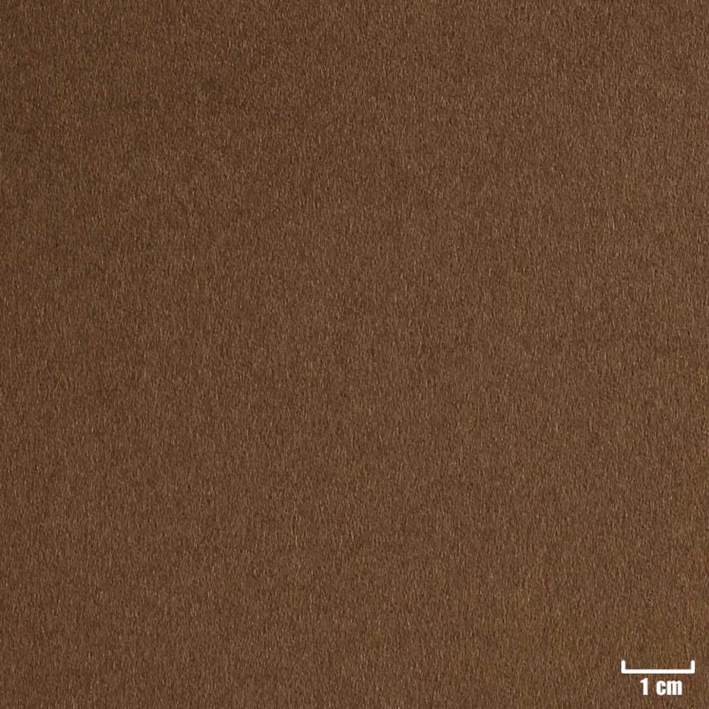 [404413] DARK KHAKI, PLAIN
