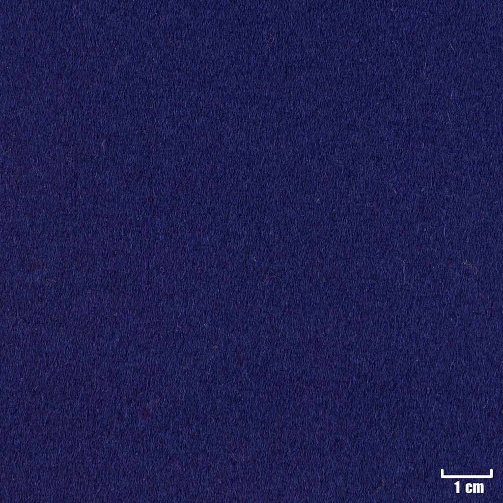 [404419] BLUE, PLAIN