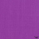 [404615] 紫色，纯色