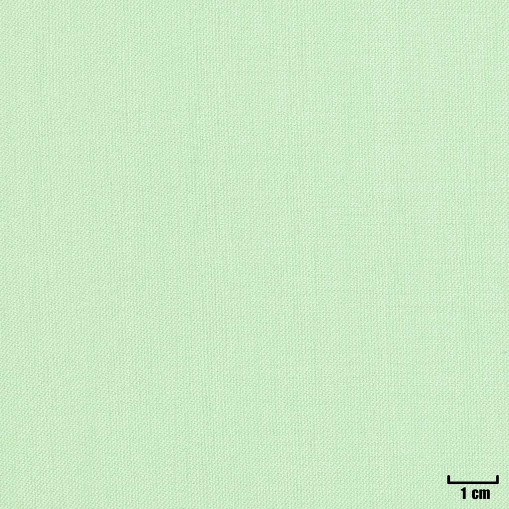 [404623] LIGHT GREEN, PLAIN
