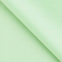 [404623] 浅绿色，纯色