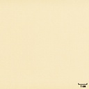 [404636] 浅黄色，纯色