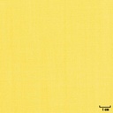 [404637] 黄色，纯色