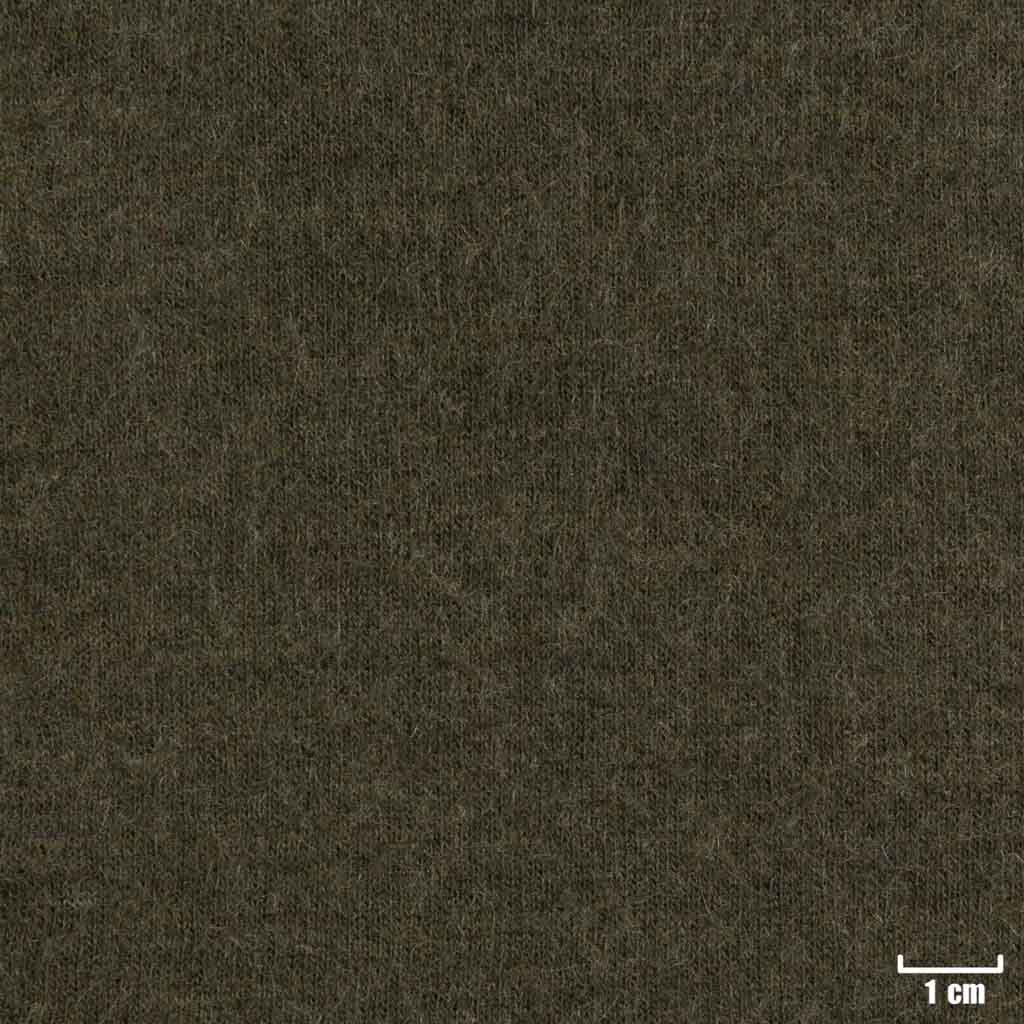 [404908] DARK GREEN, PLAIN