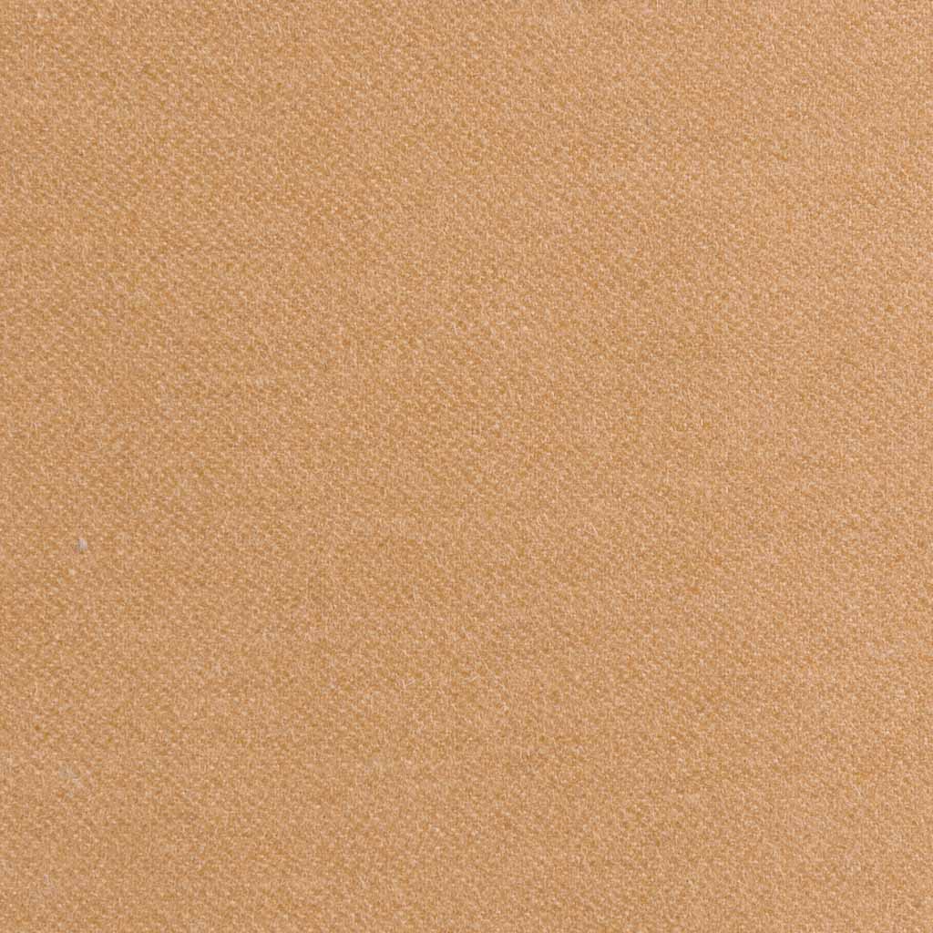 [405118] TAN, PLAIN