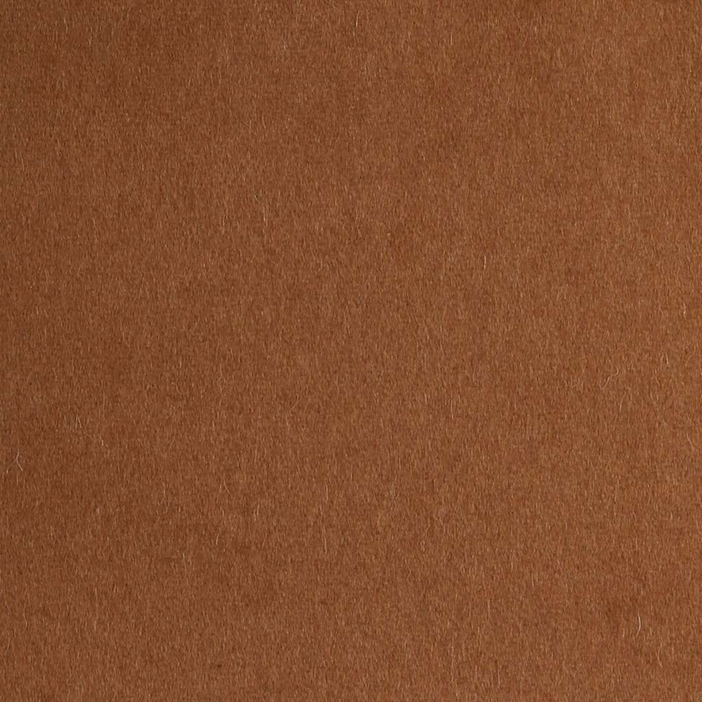 [405126] CAMEL, PLAIN