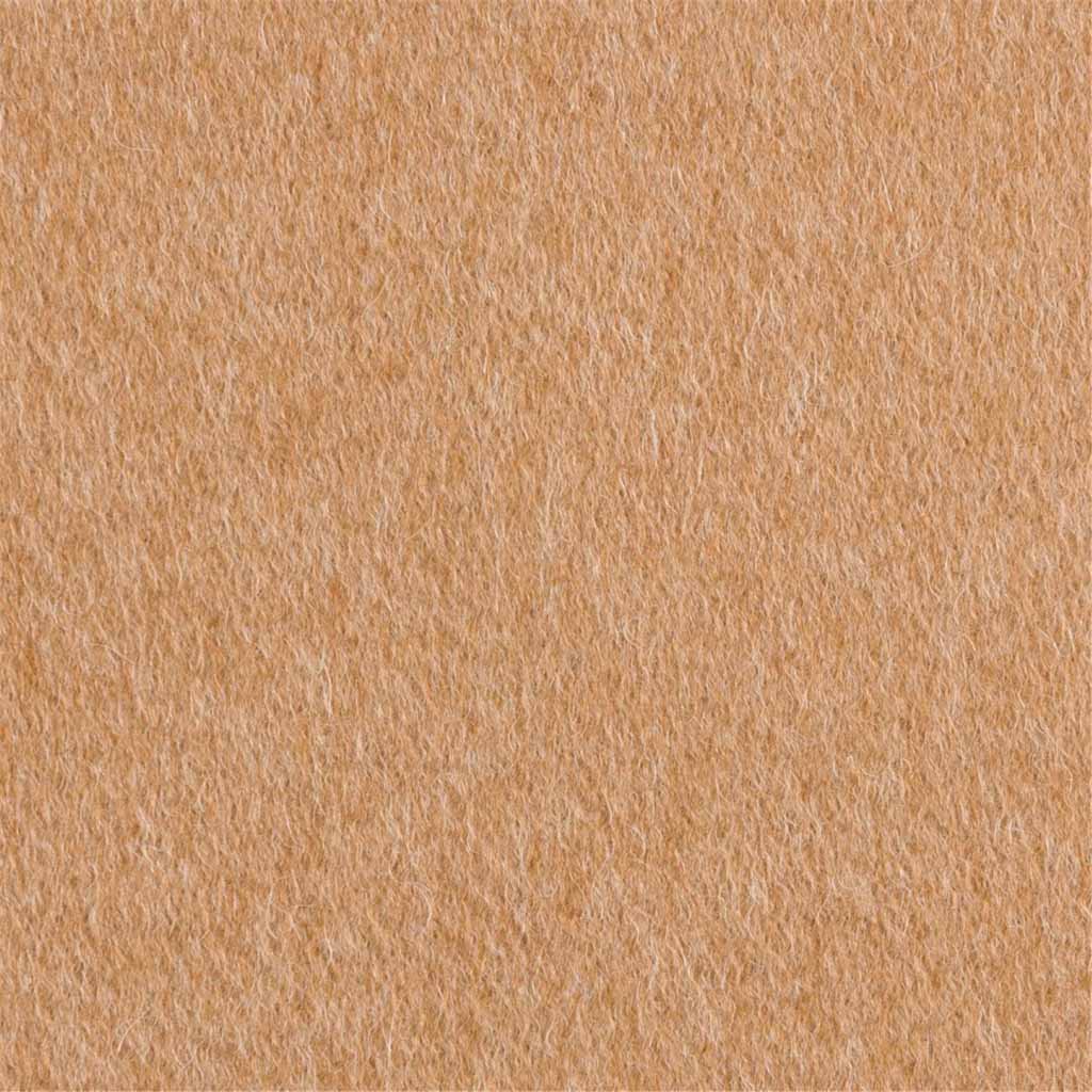 [405135] TAN, PLAIN