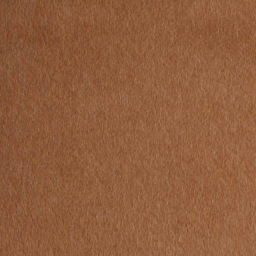 [405136] CAMEL, PLAIN
