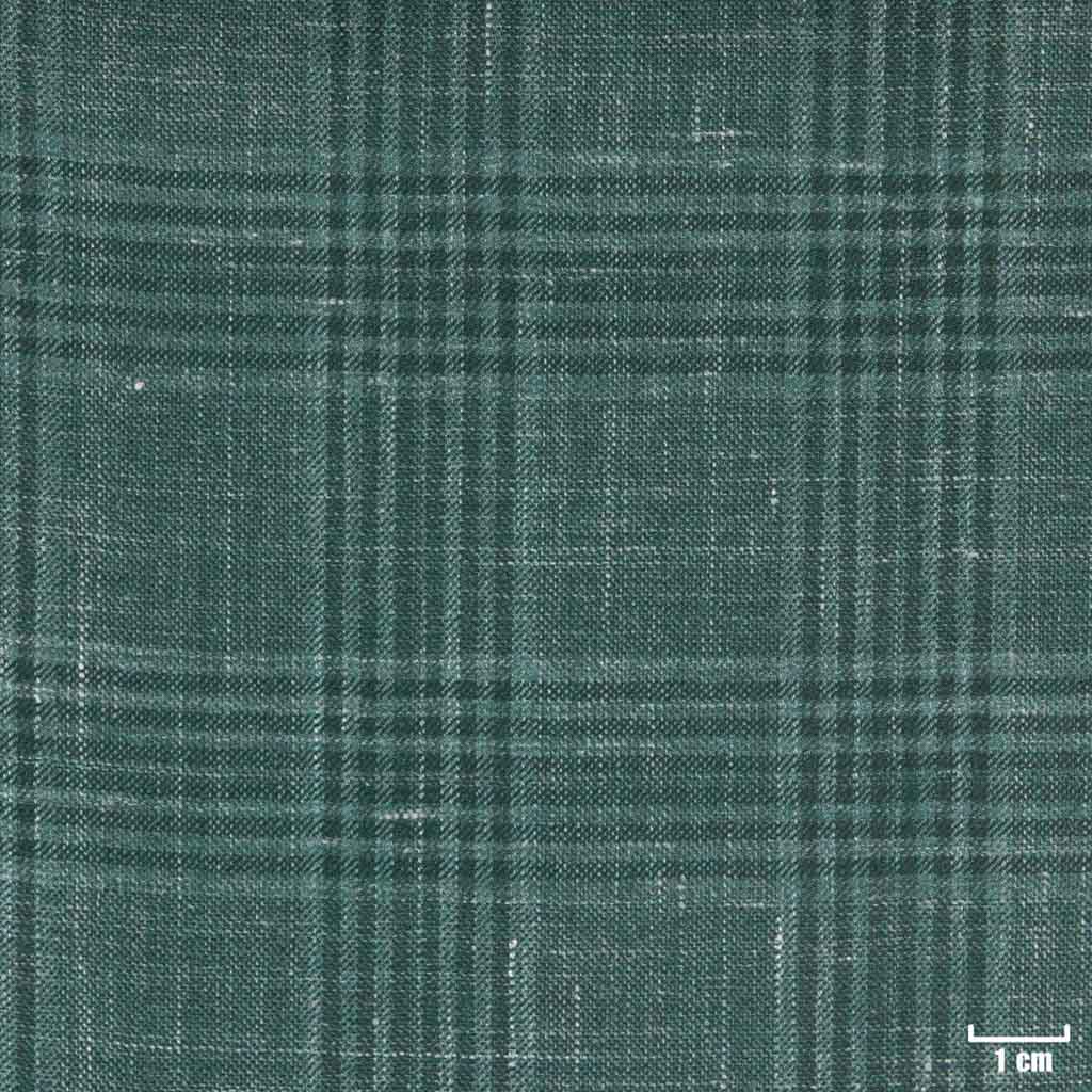 [405232] GREEN, CHECKS