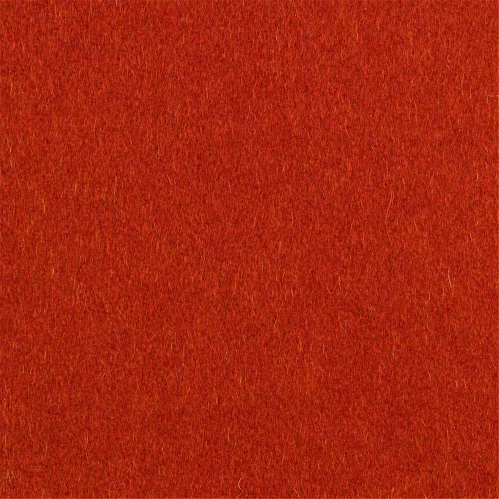 [405634] ORANGE, PLAIN