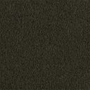 [405657] 绿色，纯色
