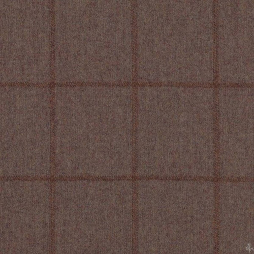 [405727] BROWN,CHECKS (16/87)