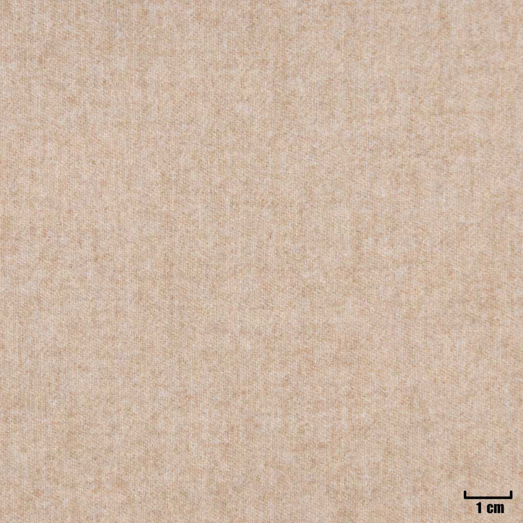 [405742] LIGHT BROWN,PLAIN (16/54)