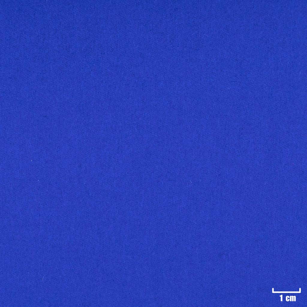 [405749] BLUE,PLAIN (16/52)