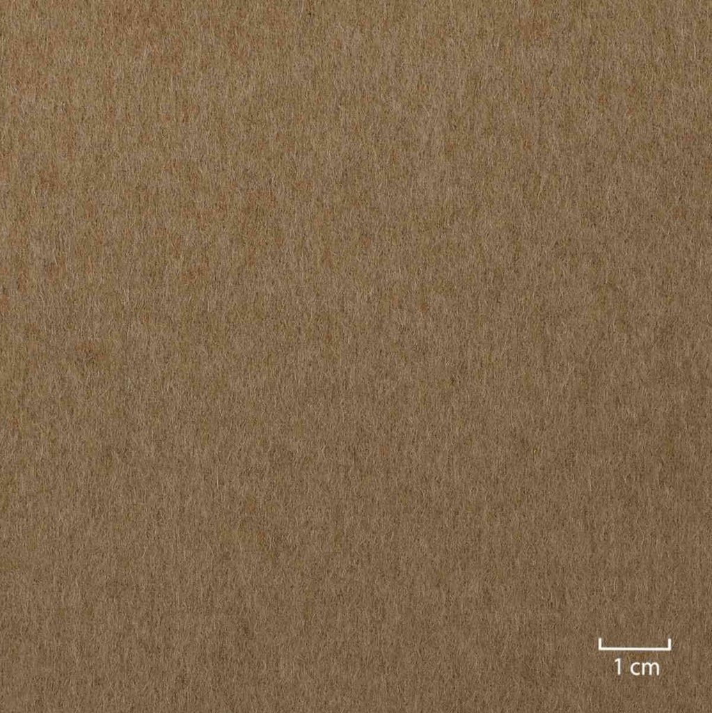 [405929] CAMEL,PLAIN (4/01)