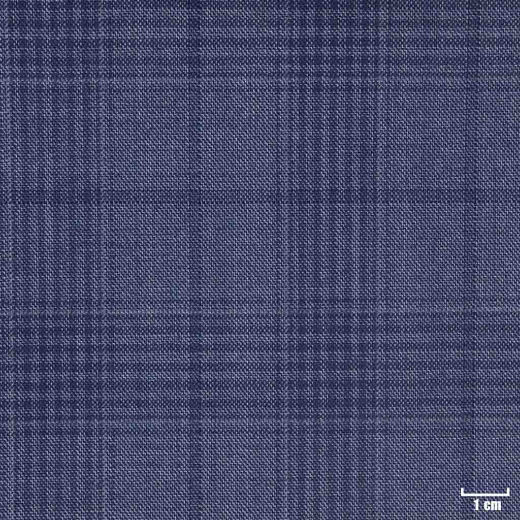 [450111] BLUE, CHECKS