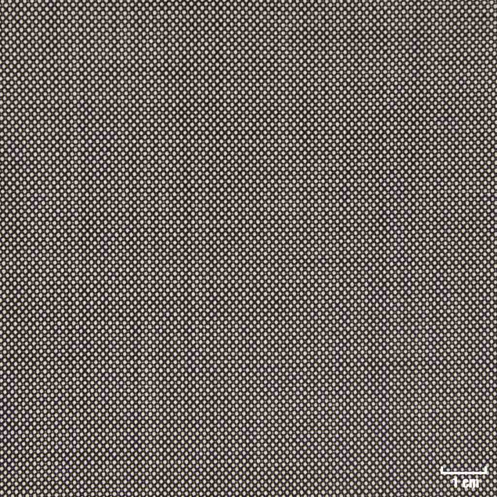 [450115] LIGHT GREY, BIRDEYE