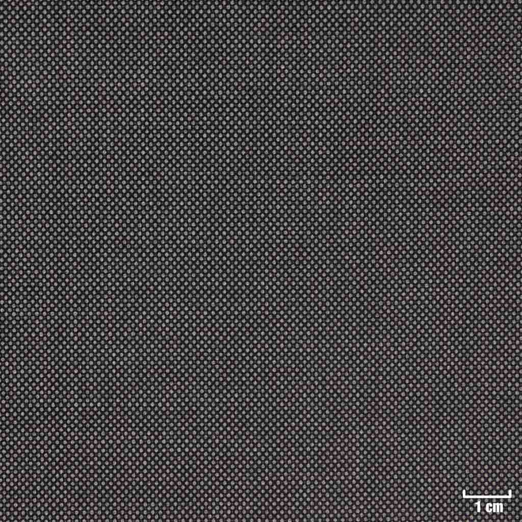 [450116] GREY, BIRDEYE