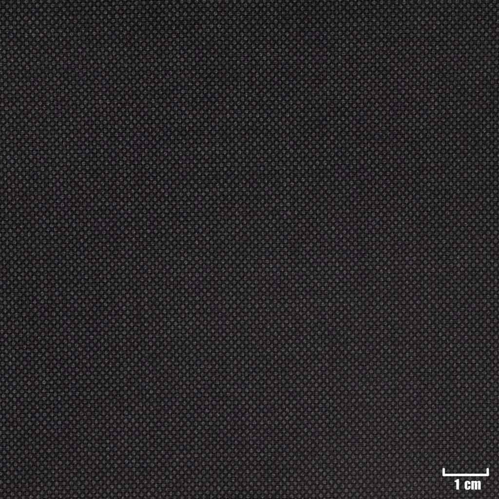 [450117] GREY, BIRDEYE