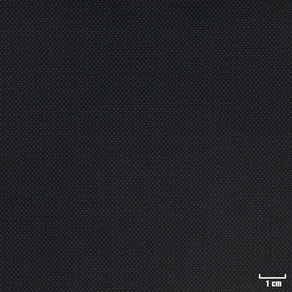 [450118] DARK BLUE, BIRDEYE